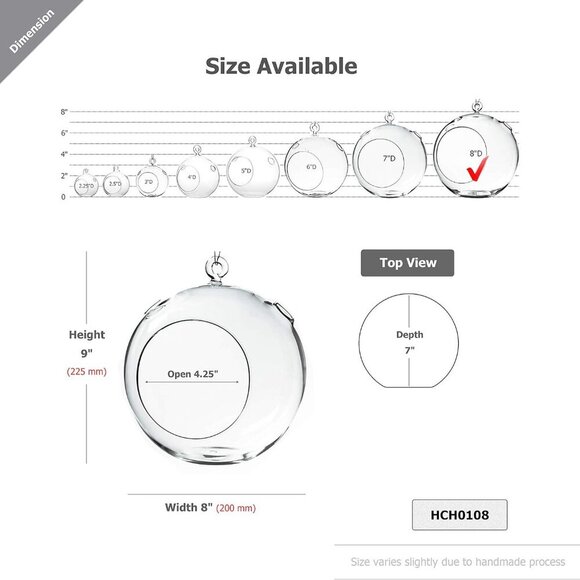 WGV Hanging Terrarium Globe, Width 8", Height 9", DIY Air Succulent Planter, Cle - Picture 3 of 9